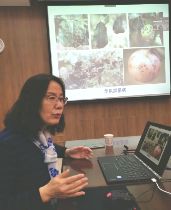 黄丽丽教授作成人影视片报告.jpg