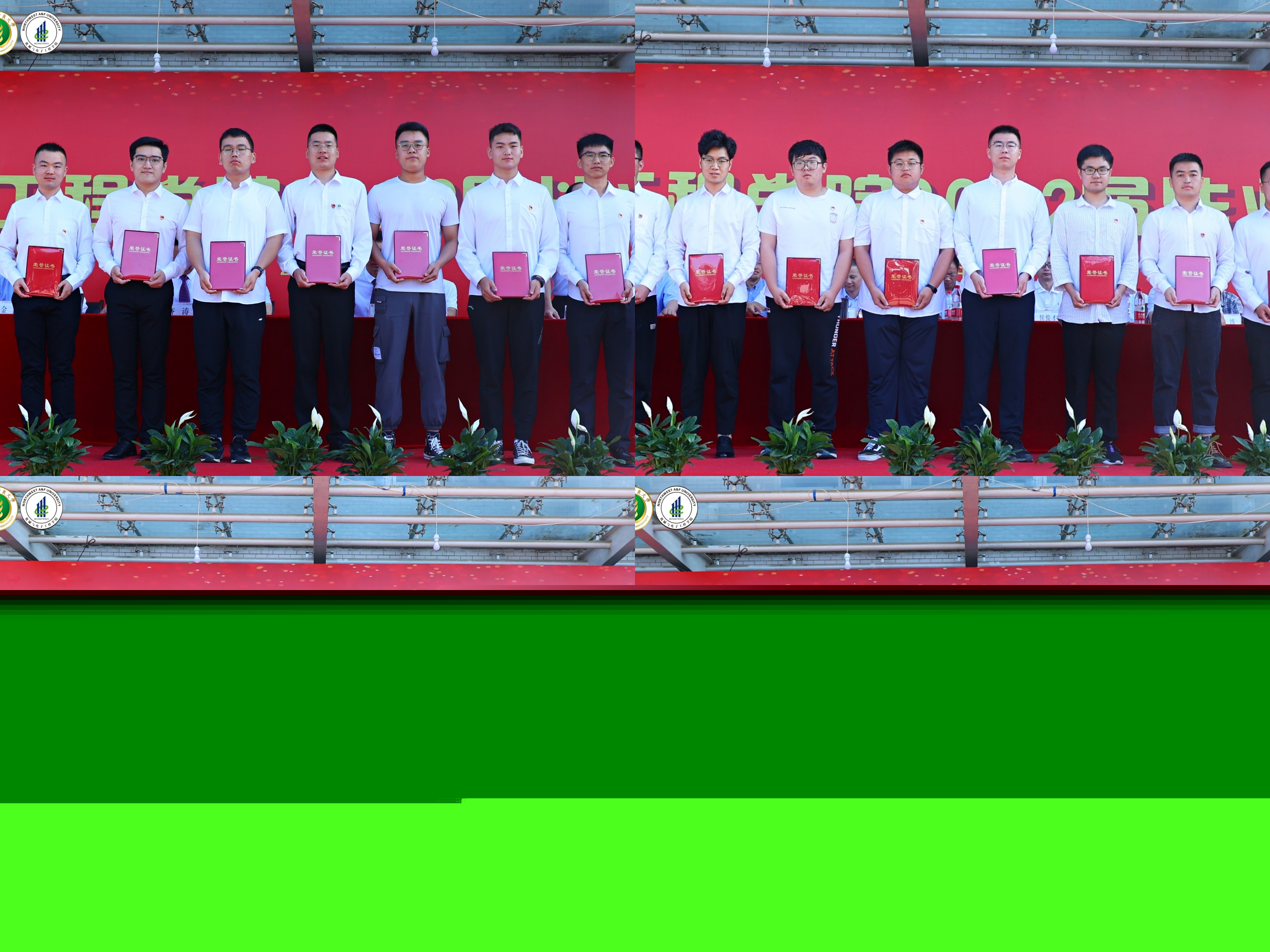 09cafd1901214690b89a1e173a87c108.jpg